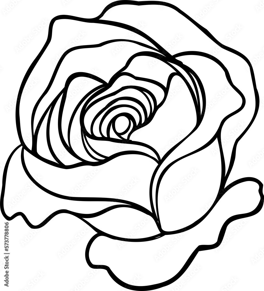 Sunset memory rose png.Beautiful flower on transparent background.