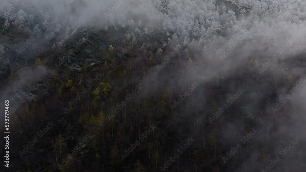Relaxing drone video in Swiss Alps on cloudy moody grey winter afternoon with lush pine forests and beautiful snowy trees on mountains sideways flying and rotating Relaxing drone video in Swiss Alps on cloudy moody grey winter afternoon with lush pine forests and beautiful snowy trees on mountains sideways flying and rotating