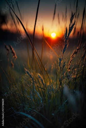 Digital Illustration of Beautiful Nature Scene as the Sun Shines through the Grass  Close-up  Generative AI 
