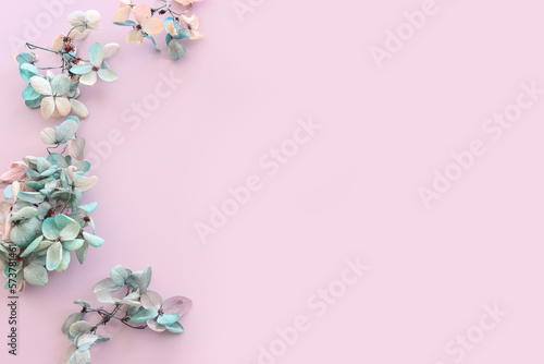 Top view image of blue Hydrangea flowers over purple pastel background .Flat lay
