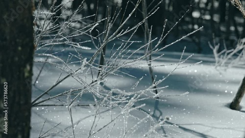 【キラキラと輝く霧氷】上高地田代池の樹氷たち②　日本の山　長野県