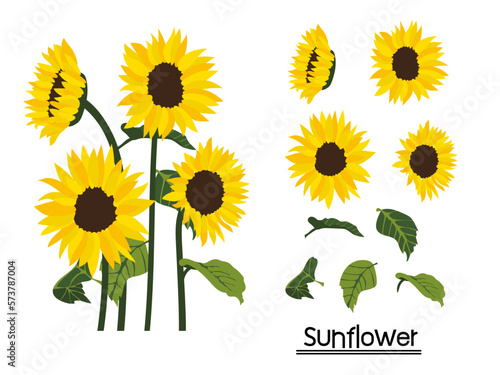 set of sunflowers