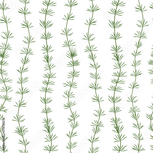 Hornwort is a green algae. The underwater world of the ocean. Aquarium. a marine plant . Vector illustration isolated on a white background.