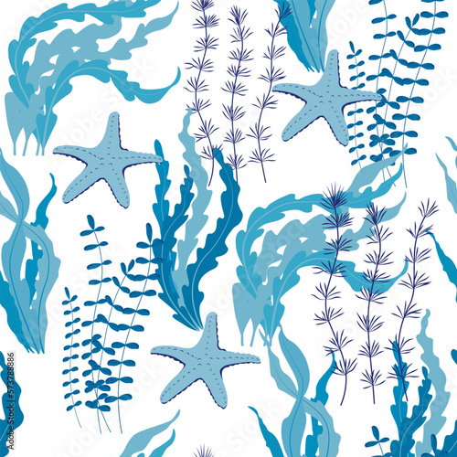 Corals and seaweed. Vector Botanical Illustration. Underwater flora, sea plants. Underwater world. Diving.  Kelp.  Seamless pattern, endless ornament. 