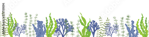 A set of algae. Kelp. Vector stock illustration. Seamless pattern, endless ornament, horizontal border. Aquarium, underwater world. The bottom of the sea. 