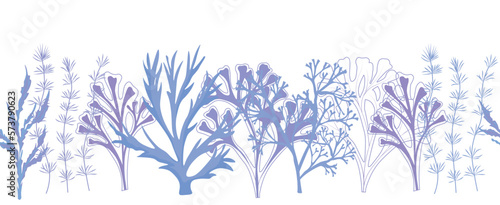 A set of algae. Kelp. Vector stock illustration. Seamless pattern, endless ornament, horizontal border. Aquarium, underwater world. The bottom of the sea. 