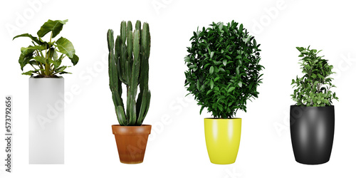 plant in a vase isolated on transparent background, 3d render illustration.