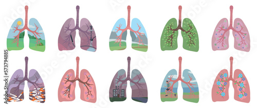 Collage of different human lungs on white background