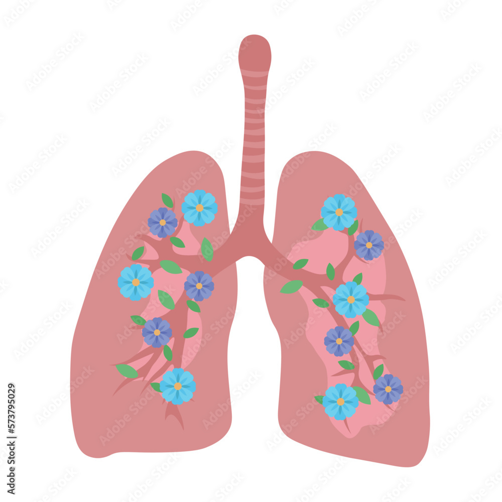 Drawn human lungs with blooming flowers on white background Drawn human lungs with blooming flowers on white background