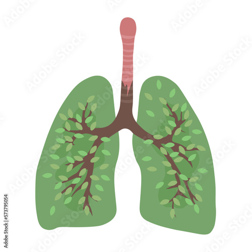 Drawn human lungs with green tree branches on white background