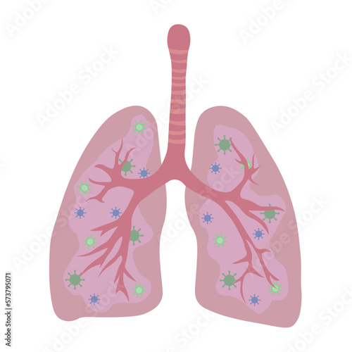 Drawn human lungs with viruses on white background