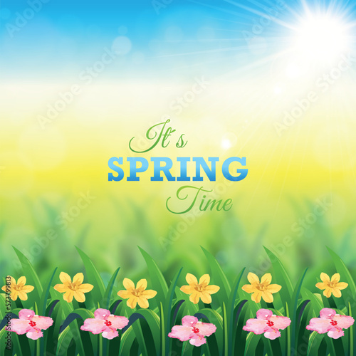 Realistic spring background design with flowers.