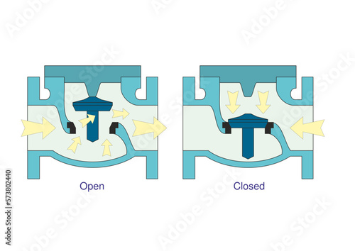 Lift Check Valve Actions