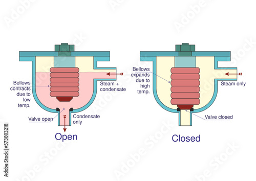 Thermostatic Steam Trap
