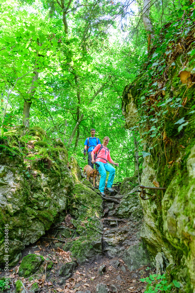 Waldwanderung mit Kletterpassagen im bayerischen Naturpark Altmühltal Waldwanderung mit Kletterpassagen im bayerischen Naturpark Altmühltal