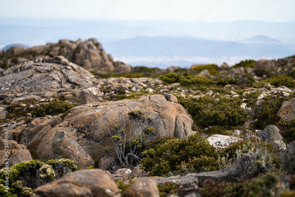 the peak of mt wellington looking over hobart city, rocky mountain the peak of mt wellington looking over hobart city, rocky mountain
