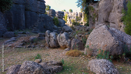 Park with beautiful rock formations and green coniferous trees on a summer day. Spectacular geological formations.