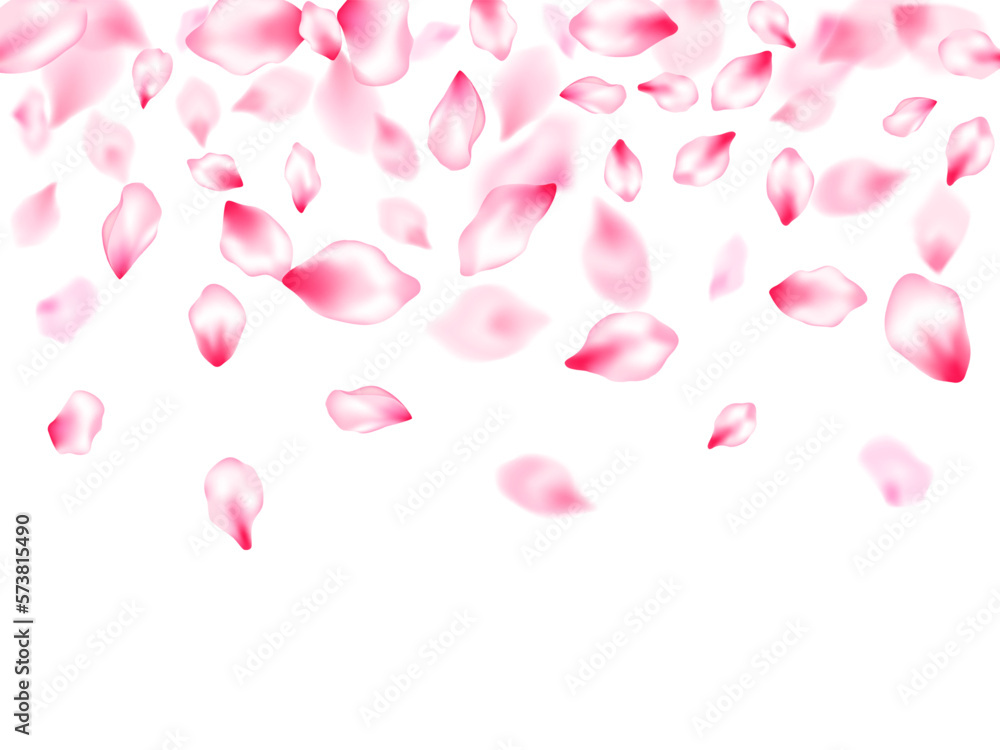 Spring blossom isolated petals flying Spring blossom isolated petals flying