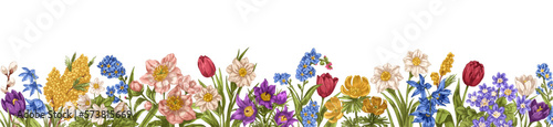 Floral border, background. Spring gentle flowers, decorative edge in vintage style. Botanical banner with blooming blossomed wildflowers, field plants. Vector illustration isolated on white background