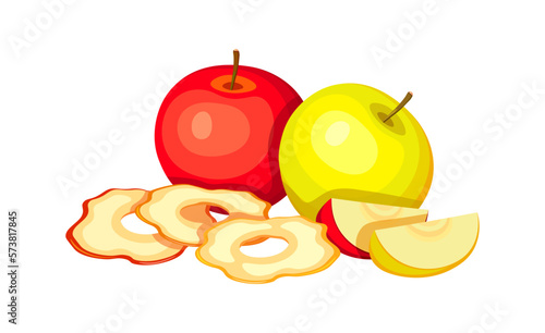 Dried apples and fresh apples isolated on white background. Vector illustration of delicious fruit in cartoon style.Dried apples icon. A set of fresh and dried apples. Design element,logo.Apple chips