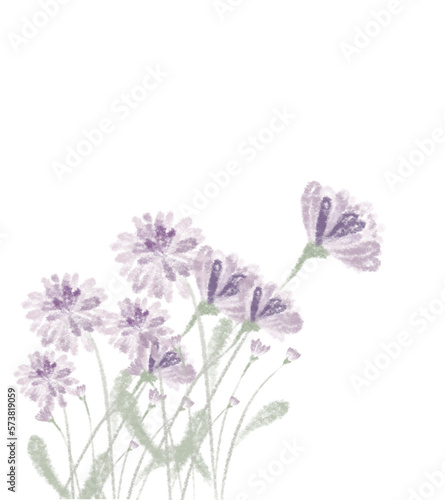 Fototapeta Naklejka Na Ścianę i Meble -  flowers isolated on white background