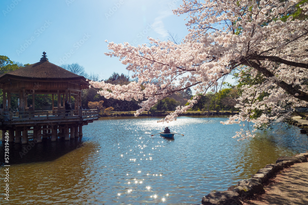 Fototapeta premium OLYMPUS DIGITAL CAMERA