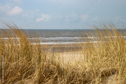 die D  nen und das Gras am Strand von Wassenaar bei Den Haag im Winter