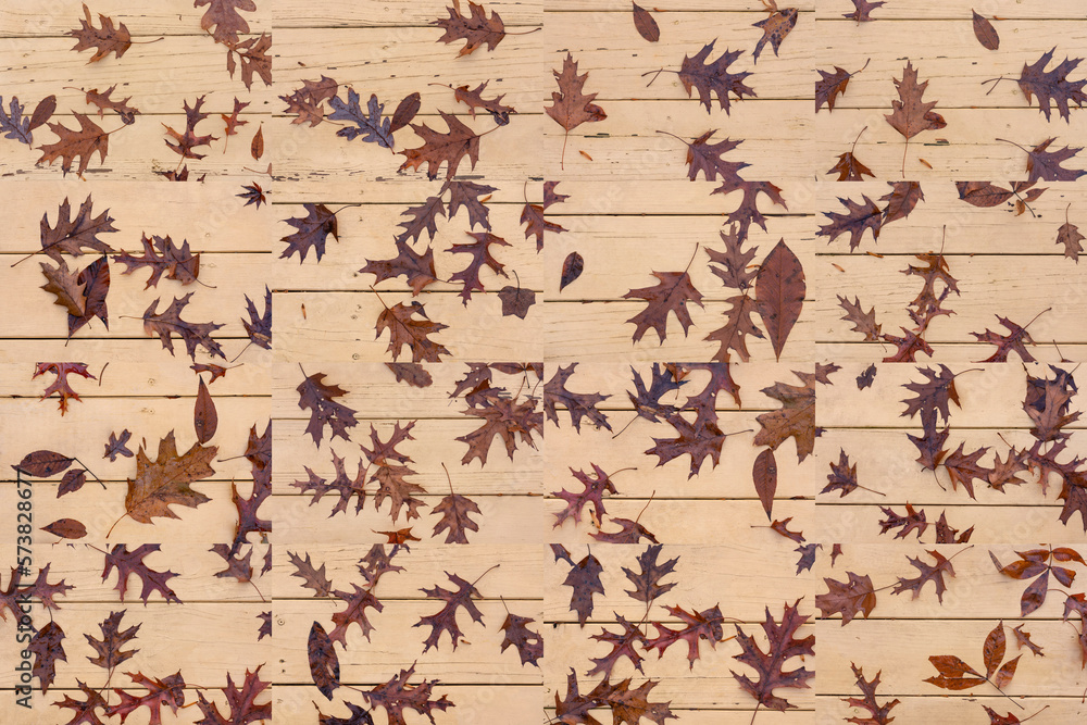 A collage of 16 photos of leaves on a porch in Stone Mountain, Georgia A collage of 16 photos of leaves on a porch in Stone Mountain, Georgia