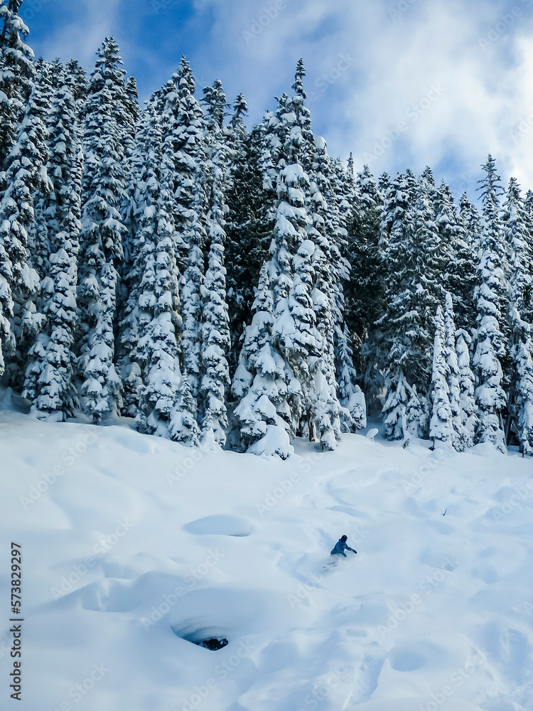 Forest in winter and woman snowboarding, Whistler, British Columbia, Canada Forest in winter and woman snowboarding, Whistler, British Columbia, Canada
