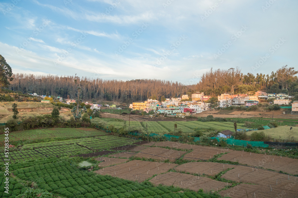 Village in a hill at Nilgiri forest Ooty. Landscape of Ooty Tamil nadu India Village in a hill at Nilgiri forest Ooty. Landscape of Ooty Tamil nadu India