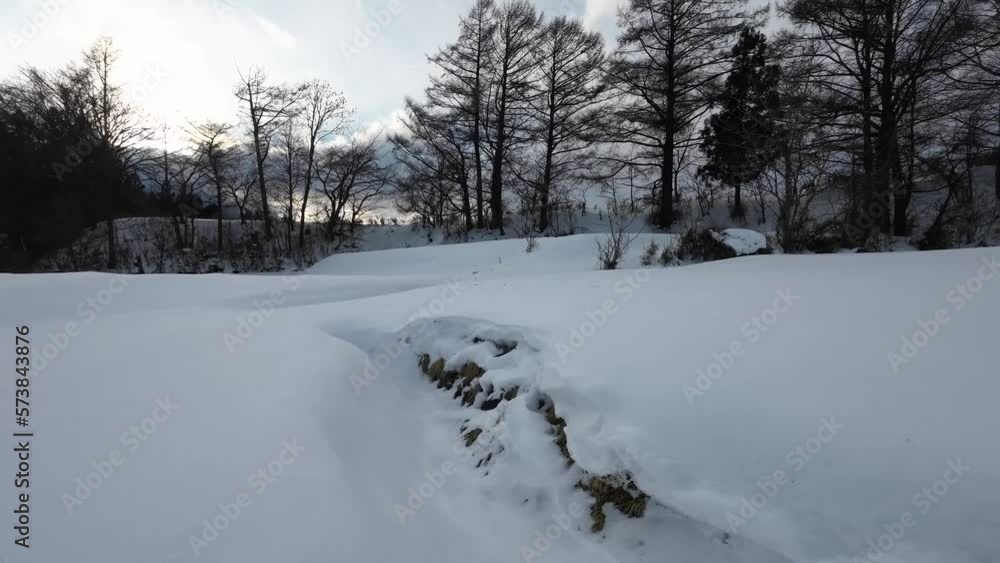 雪原を飛ぶ 雪原を飛ぶ