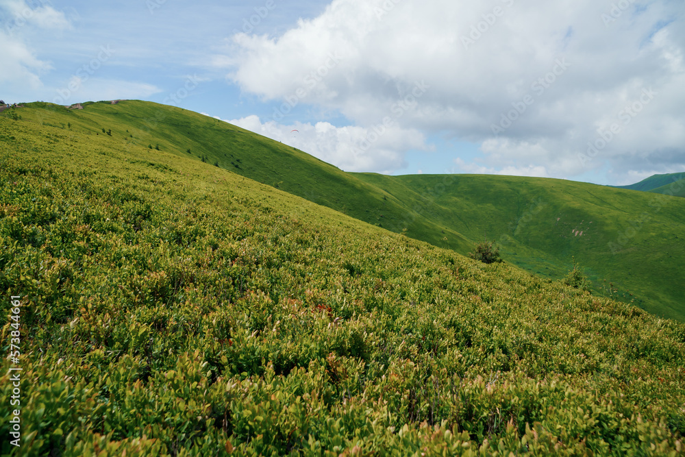 Fototapeta premium Beautiful summer mountain landscape, forest, clouds. Mount Gemba Pylypets Ukraine. Ukrainian mountains Carpathians, Transcarpathia