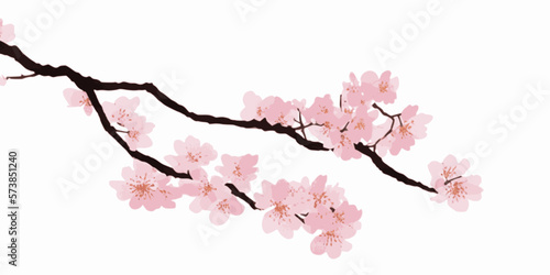 Japanese cherry blossoms, sakura, spring flowers, vector illustration