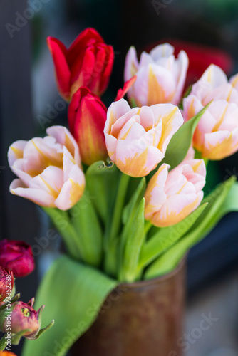 bouquet of pink tulips