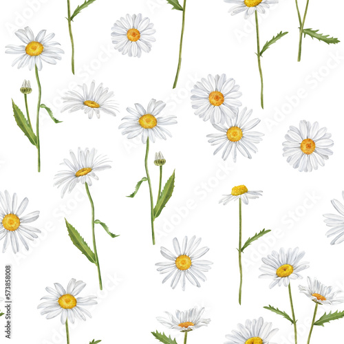 Fototapeta Naklejka Na Ścianę i Meble -  Watercolor floral pattern with daisies, wildflowers, summer print