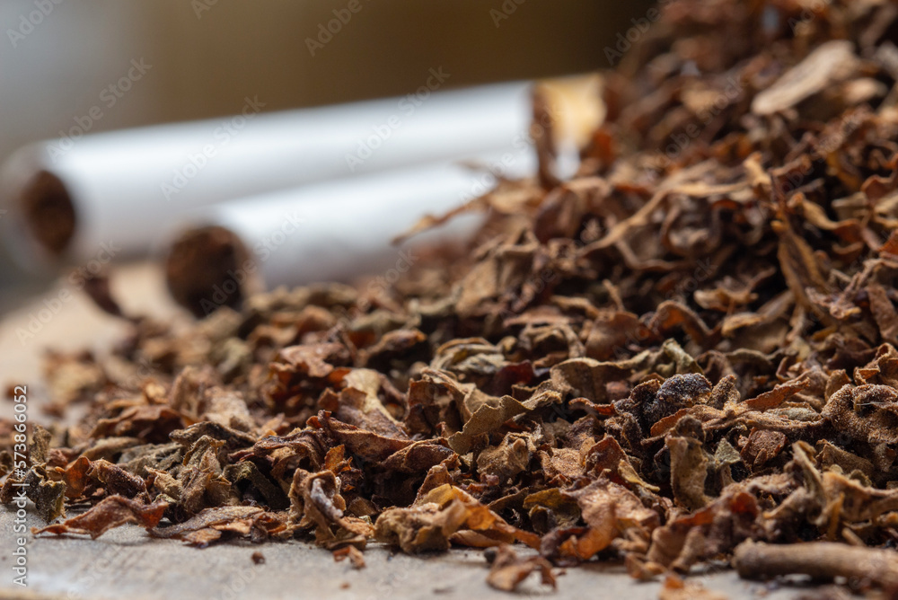 close-up of tobacco leaves and handmade cigarettes on a blurred background
