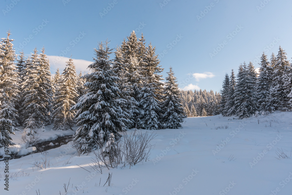 Winter Romanian landscape. Snowy Carpathian forests. Winter Romanian landscape. Snowy Carpathian forests.