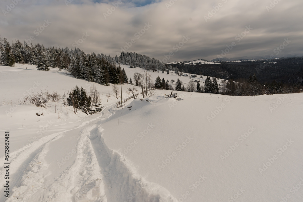 Winter Romanian landscape. Snowy Carpathian forests.