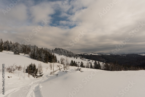 Winter Romanian landscape. Snowy Carpathian forests.