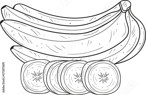 Bananas hand drawn. Whole and sliced. Vector illustration. Fruits, nutritious and healthy foods. Doodle style.

