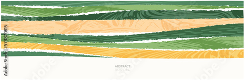 Rice field collage pattern or abstract agriculture vector background with texture. Stripe japan farmland, green ecology design. Rural farm, Thailand countryside, agro illustration. Eco vineyard banner