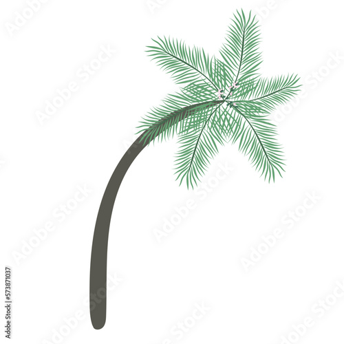 Date palm tree isolated on white background. Beautiful simple vector palm tree