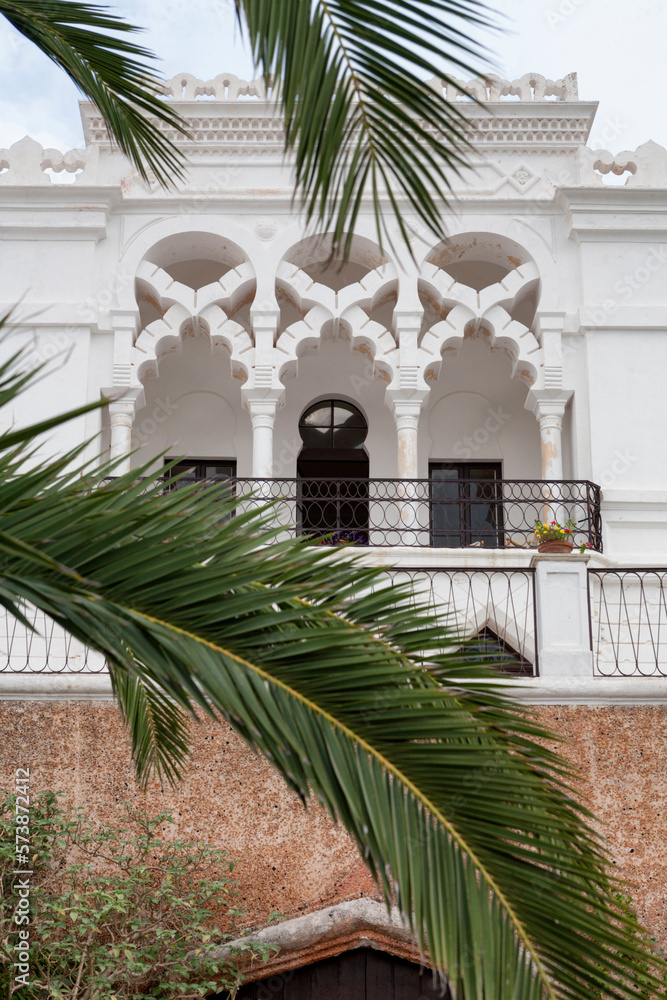 Leuca, Lecce. Dettaglio con foglia di Palma diella facciata di una villa in stile eclettico.