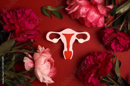 Symbolic model of the uterus with peonies flowers on a red background. © WindyNight