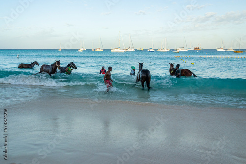 Race horses swimming in the sea on Carlisle bay, Pebbles beach Barbados with their jockey photo