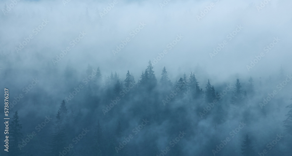 Landscape with fog in mountains