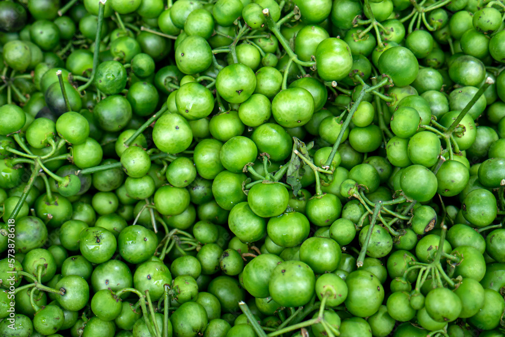Traditional Sundanese raw salads Leunca Solanum nigrum, natural background Traditional Sundanese raw salads Leunca Solanum nigrum, natural background
