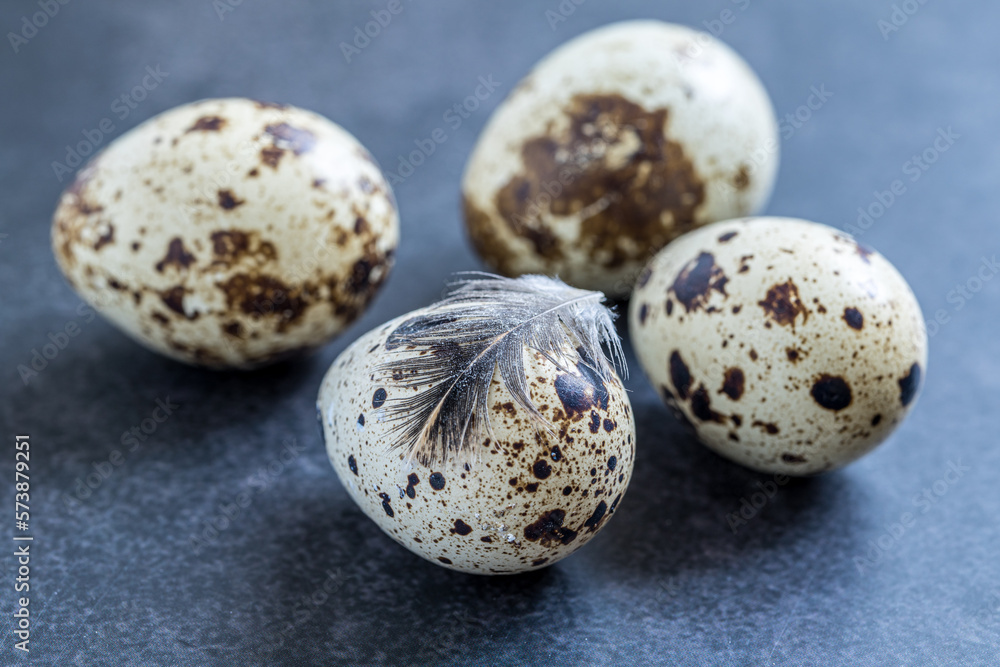 Easter quail eggs. Spring background with small easter quail eggs. Vintage photo processing Easter quail eggs. Spring background with small easter quail eggs. Vintage photo processing