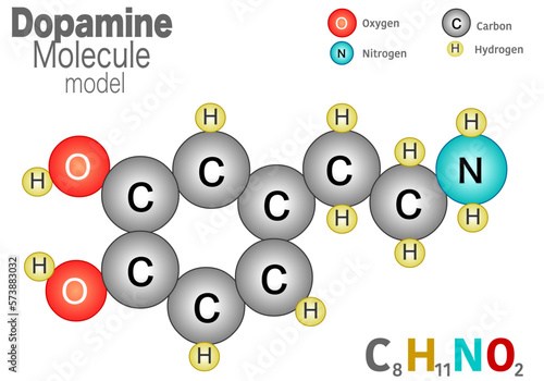 Dopamine molecule model. Hormone chemical formula structure. Colored structural C8H11NO2 carbon, oxygen, nitrogen, hydrogen anatomy.
Main chemical of pleasure. Motivation, reward. Illustration vector