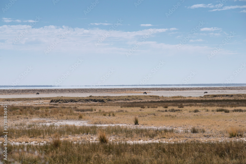 Etosha plain landscape